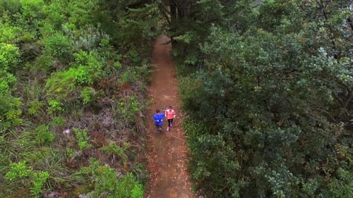 Couple jogging on forest path