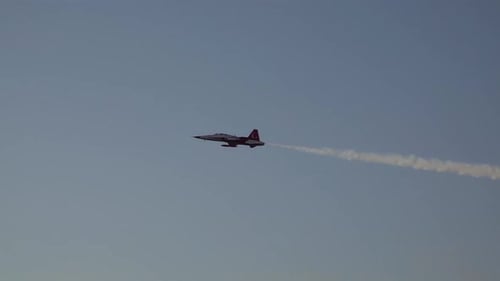 Flugshow
