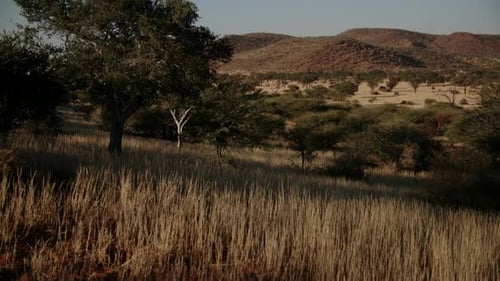 high speed/slow motion pan of an african hill