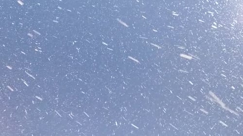 Fliege Schnee Natur auf der Straße
