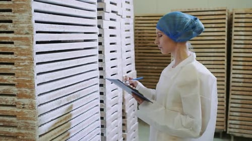 Controller Checking Factory Entrepot.