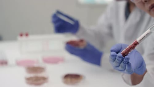 Lab Grown Meat Being Examined by Scientist