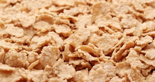 Toasted Flakes Zoom Close Up Delicious