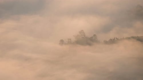 Nebel