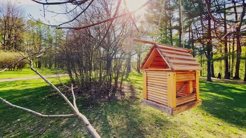 Closeup of a Birdhouse in the Park on a Clear Sunny Spring Day Lush Green Grass in the Meadows