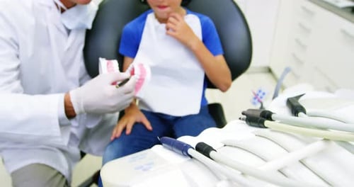 Dentist Explains Teeth Model to Young Patient