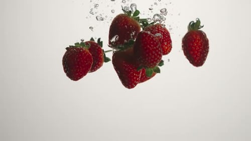Les fraises tombent dans l'eau sur fond blanc