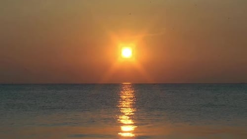 Ciel D'hiver Jaune Dans Les Oiseaux Volant Et Coucher De Soleil