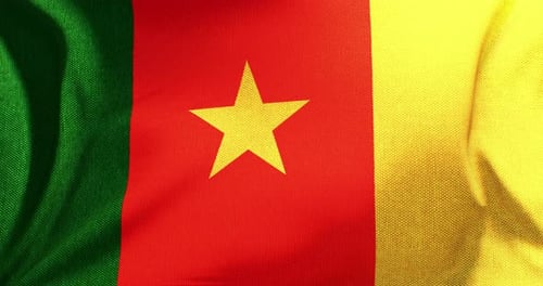 Realistic Waving Flag of Cameroon Looping Animation