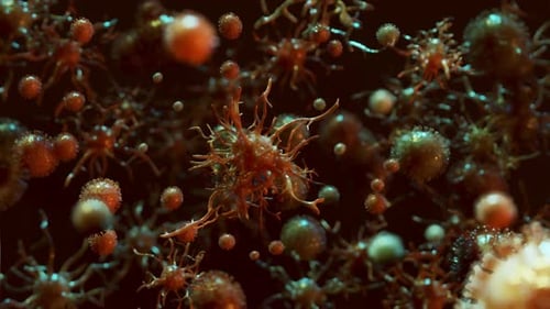 Animated Microscopic Cells Representing Medical Biological Activity