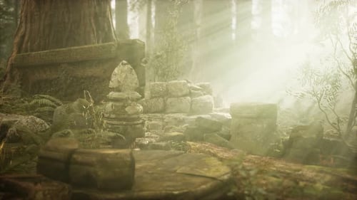 Hoary Ruins of Ancient City in Pine Forest