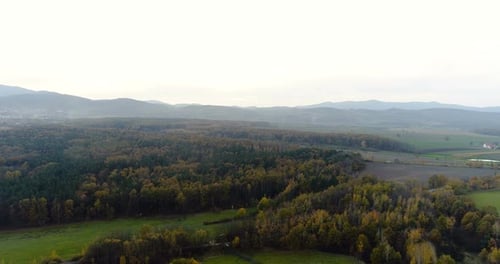 Flying Over Forest. Forest From Above