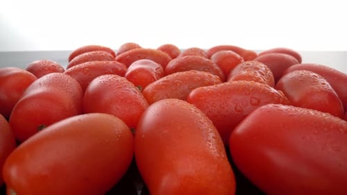 Ripe Red Biological Tomatoes in a Row on a Smooth Glass Surface