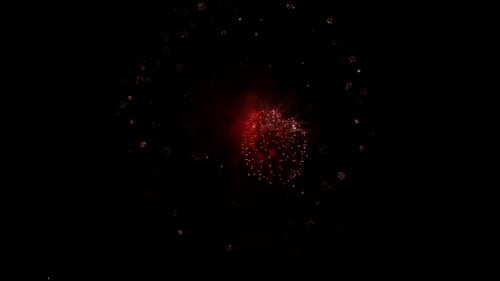 Colorful Fireworks Bursts Explode in the Night Sky