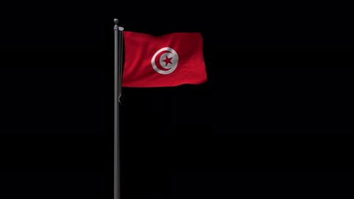 Realistic 3D Animation of Tunisia Flag Waving