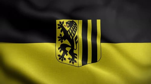 Waving Flag with Black and Yellow Heraldic Lion Emblem