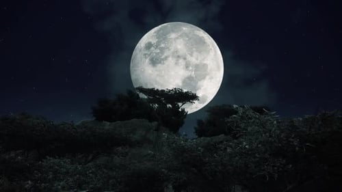 Mysterious Full Moon Over Dark Forest Night Sky