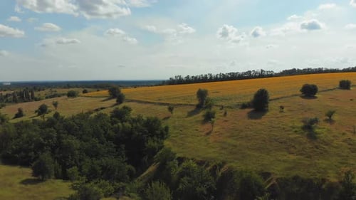 Aerial View of Green Fields and Hills on the Countryside, Green Valley, Village Skyline