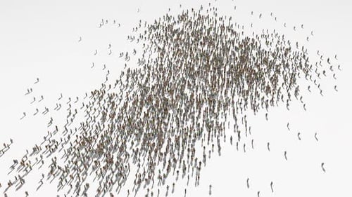 Thousands of People Form an Abstract Geographic Shape