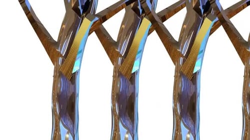 Acer Tree Botanisches 3D