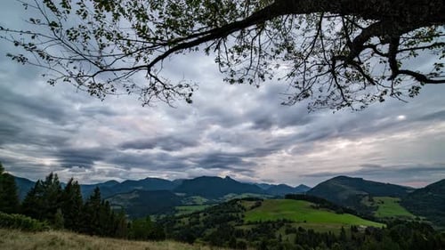Dramatic Clouds Motion in Countryside Nature Landscape, View Under the Tree Branches