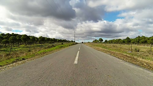Driving Car on the Road in Green Fields