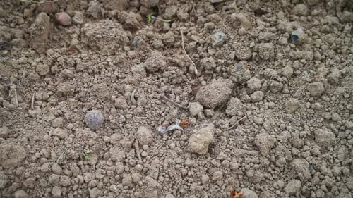 Dry Field of Dirt and Clods