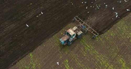 Farmer is Riding Tractor with Plow for Processing Soil Before Seeding View From Drone Prores