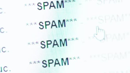Computer Screen Displaying the Word Spam in Text