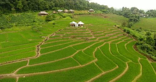 Terraço de campo de arroz em terras agrícolas de montanha