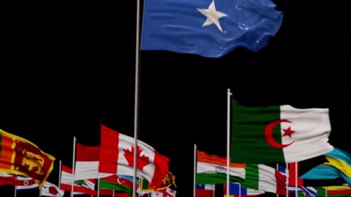 International Flags Waving with Focus Transition