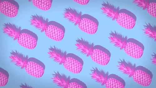 Ananas Loops 03