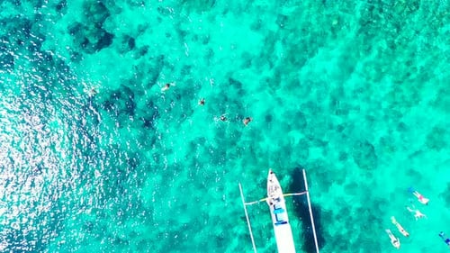 Aerial View of People Snorkeling in Tropical Ocean