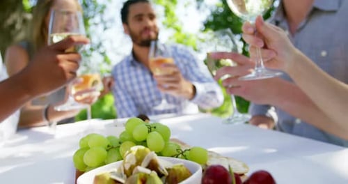 Friends Celebrating Outdoors with Wine and Fruit
