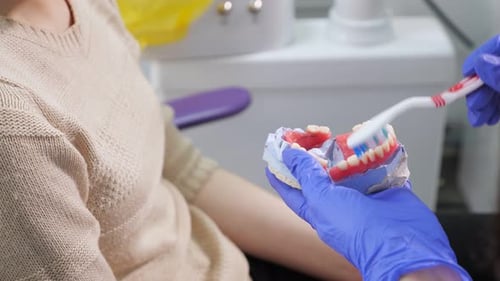 Woman Dentist Showing To Patient on a Jaw Model How To Clean the Teeth with Toothbrush Properly.