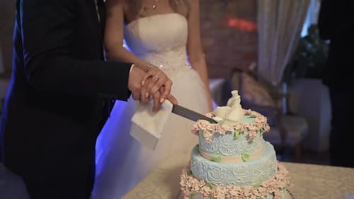Bride and Groom Cutting Wedding Cake at Reception