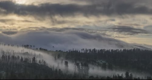 Ethereal Mist Drifting Over Forest Hills at Sunrise