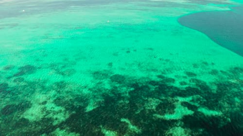 Transparent Blue Sea Water in the Lagoon