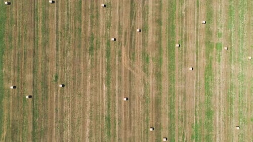Top Down View of Hay Bales on Agriculture Field