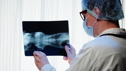 Medical Professional Viewing X-Ray Film by Window