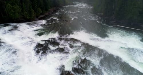 Fluss fließt durch grünen Wald 4k