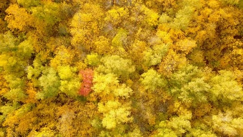 Natur im Herbst