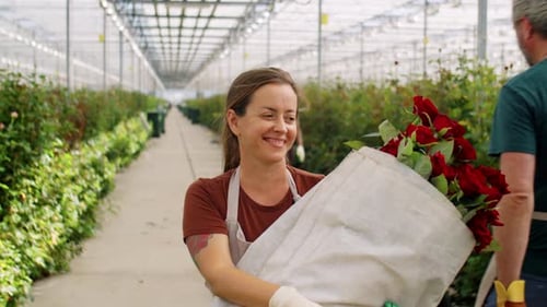 Woman Carries Red Roses in Greenhouse