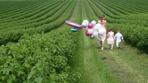 Happy Family Holding Hands Walking on the Green Lawn of the Park Opened with Balloons in Hands