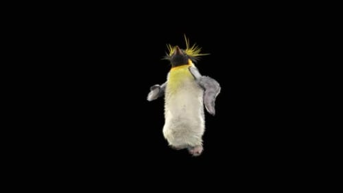 Penguin Dancing HD