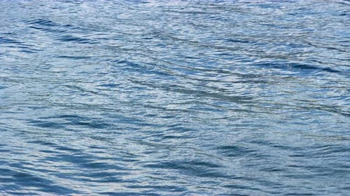 Disturbed Water Rippling and Reflecting Light