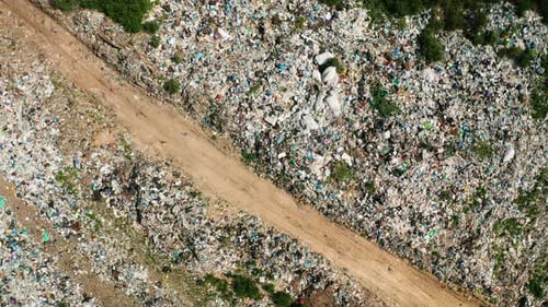 Aerial View of Dump in Forest. Pollution Concept, Top View