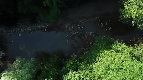 Flying Above Densely Growing Trees, Between Which a Calm River Flows