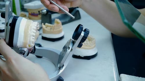 Dental Technician Using Articulator for Dental Mold
