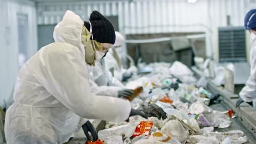 Workers Sorting Recyclable Waste on Conveyor Belt